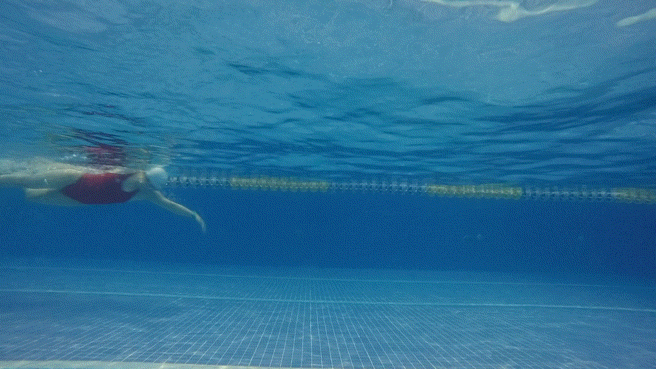 正确游泳的姿势和动作分解(自由泳的正确姿势图解)