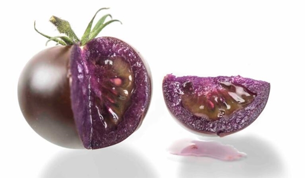 转基因番茄在美获批准：果肉呈紫色、富含花青素