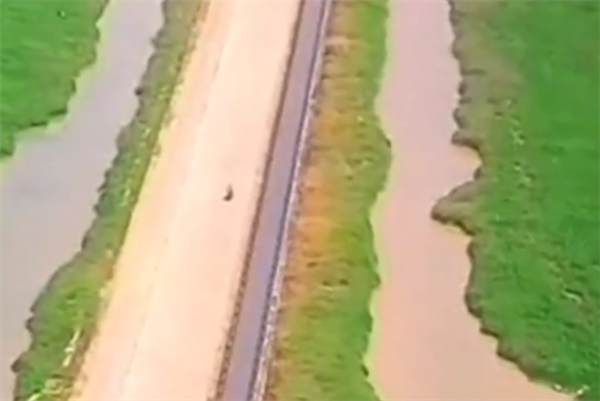 鄱阳湖水位持续走低：江西最美水上公路变草原公路