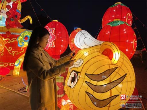 「网络中国节·春节」大型福虎花灯亮相福州花海公园