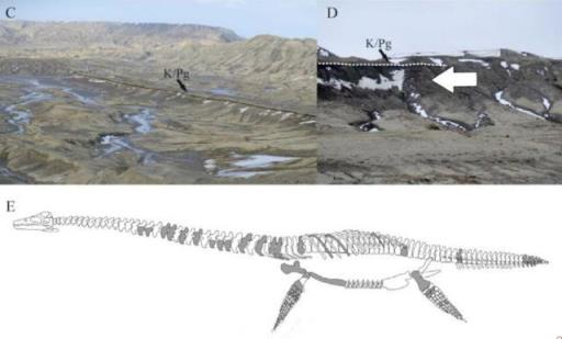 南极洲发现体型最大的白垩纪蛇颈龙,体重可达15吨！