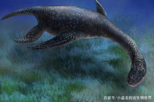 南极洲发现体型最大的白垩纪蛇颈龙,体重可达15吨！