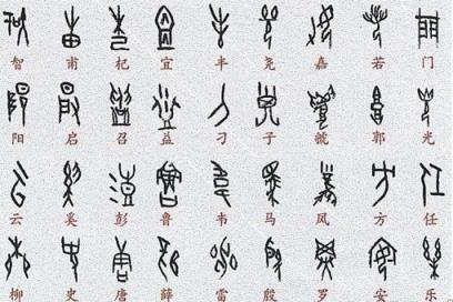 汉字的来历是怎样的-揭秘汉字的演变历程是(汉字的来历与演变)