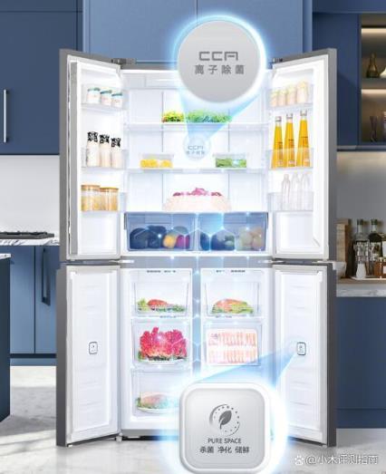 容声冰箱和海尔冰箱哪个质量更好(海尔的冰箱和容声冰箱哪个好)