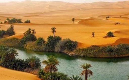 撒哈拉沙漠的面积约为906万(撒哈拉沙漠面积大约960万平方千米)