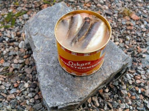 臭出天际的鲱鱼罐头,堪比“生化武器”,生产出来真有人吃？