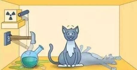 薛定谔的猫到底是怎样一只猫？为何它如此出名？