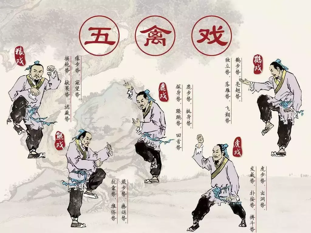 中国古代的广播体操(华佗五禽戏图解)