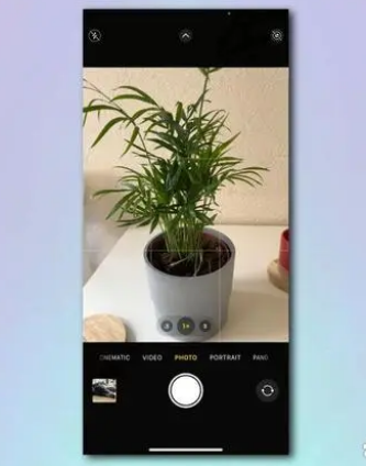 如何使用 iPhone 相机识别植物和花卉？