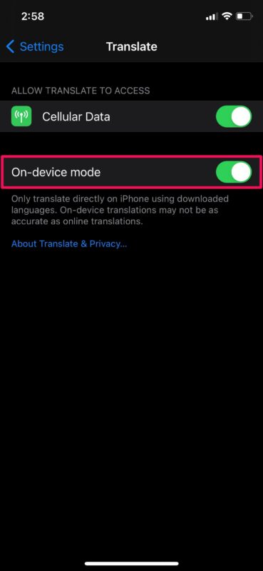 如何在iPhone启用设备翻译模式（苹果手机自动翻译功能）