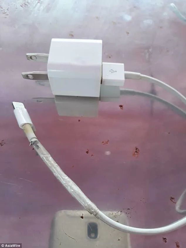 iPhone“漏电”致多人受伤！苹果官方：建议戴手机壳……