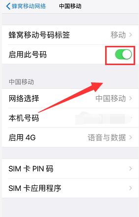 iPhone XS Max 如何单独关掉一张 SIM 卡？